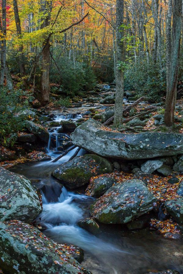Fireflies And Moonshine Βίλα Gatlinburg Εξωτερικό φωτογραφία